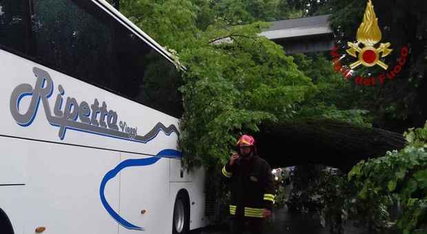 Firenze, albero si abbatte su un pullman pieno di turisti: feriti