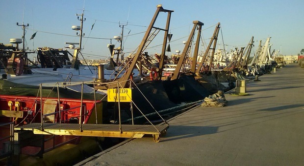 Marche, pescatori in mare per fare pari: «Guadagni azzerati dal caro carburante»