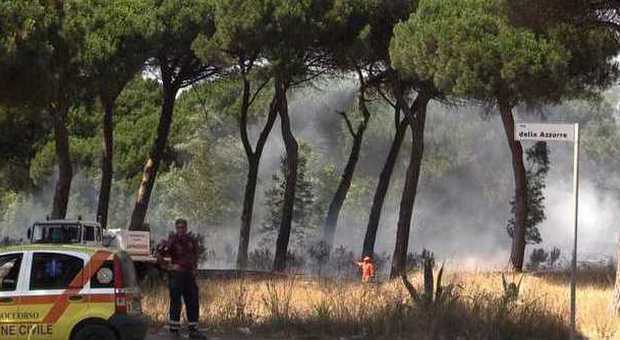 Roma, il Campidoglio lancia task-force anti-incendi e per la cura del verde