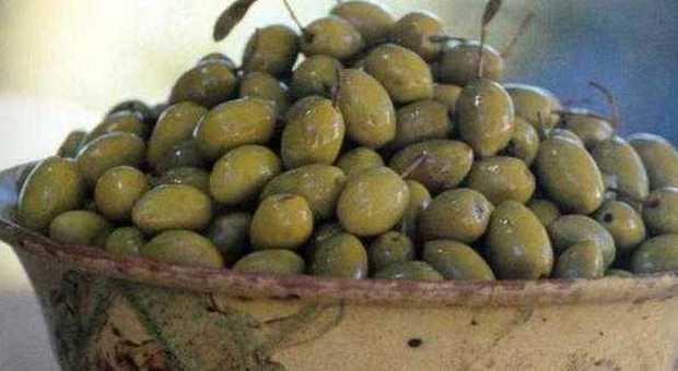 «Ecco le olive ordinate dal titolare» sventata truffa a un bar