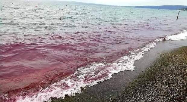 Bracciano, il mistero del lago: l’acqua si tinge di rosso
