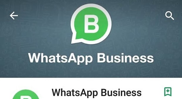 WhatsApp Business, ecco la nuova app (gratuita) per le imprese