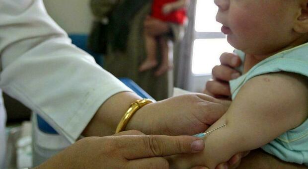Vaccini ai bambini sotto i 6 anni, Moderna chiede l'autorizzazione: «2 dosi da 25 mg»