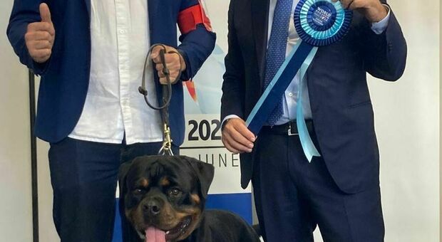 Romeo Aragon, il rottweiler campione del mondo