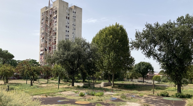 Ponticelli, nuove piante e videocamere: così rinasce il parco dedicato a Sergio De Simone