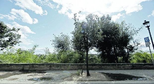 Roma, 20enne turista cade dal muretto di Trinità dei Monti: salvata
