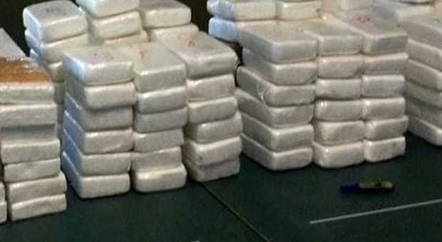 Nel container carico di pelli trovati 700 kg di cocaina: sequestro storico in Veneto