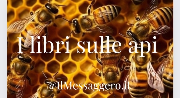 Giornata mondiale delle api: saggi, romanzi e racconti ispirati a queste meravigliose creature