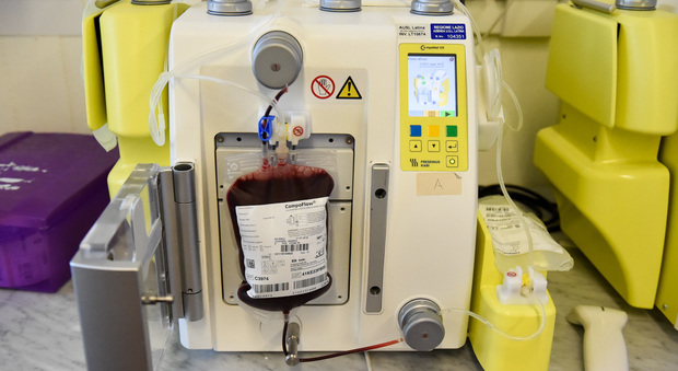 Trasfusione di sangue infetto, arriva il risarcimento quando il paziente è già morto
