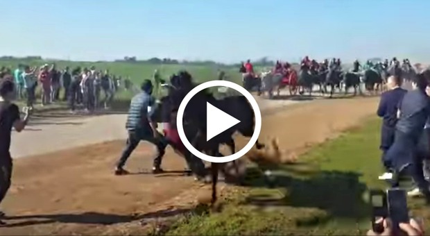 Cavallo travolge e uccide uno spettatore, choc alla «Cavalcata dei buoi» di Chieuti (Facebook)