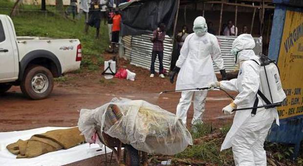 Ebola, confermata la presenza del virus in Congo. Infettato un esperto dell'Oms in Sierra Leone