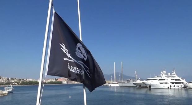 La «Brigitte Bardot» a Mergellina A Napoli la barca salva balene