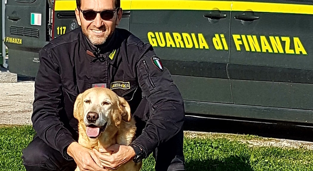 Il segugio di Gomorra va in pensione: è il cane finanziere più anziano in Italia | Video