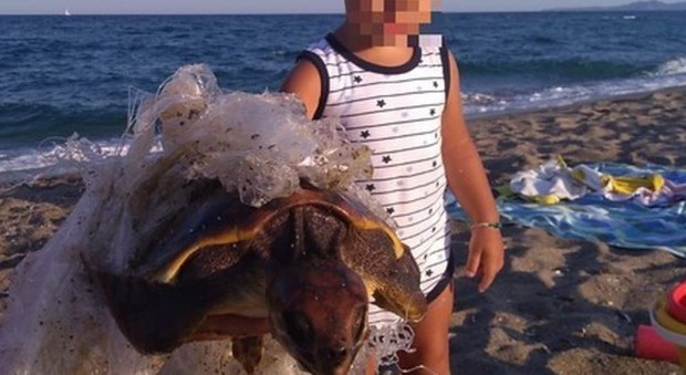Bimbo salva una tartaruga ferita e intrappolata nella plastica: la foto del piccolo Gabriele emoziona il web