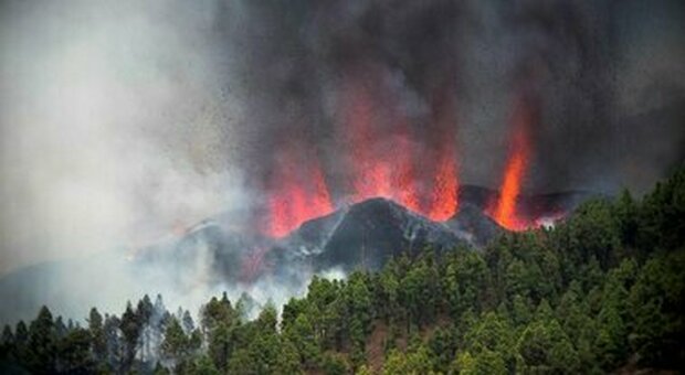 Eruzione Canarie, quasi mille edifici distrutti dalla lava. Sepolti 400 ettari e sottratti al al mare quasi 30