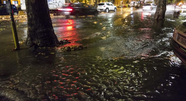 Maltempo, Roma ancora sott'acqua: alberi caduti, allagamenti e traffico in tilt