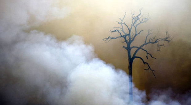 Incendi in Amazzonia, l'allarme: «I bambini di una scuola vicina hanno difficoltà a respirare»