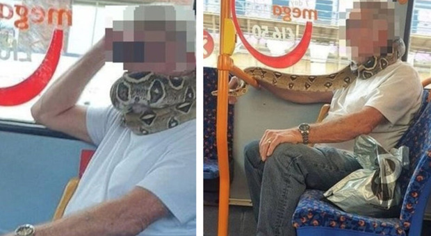 Un uomo porta un serpente al collo invece della mascherina per proteggersi il viso su un autobus - FOTO