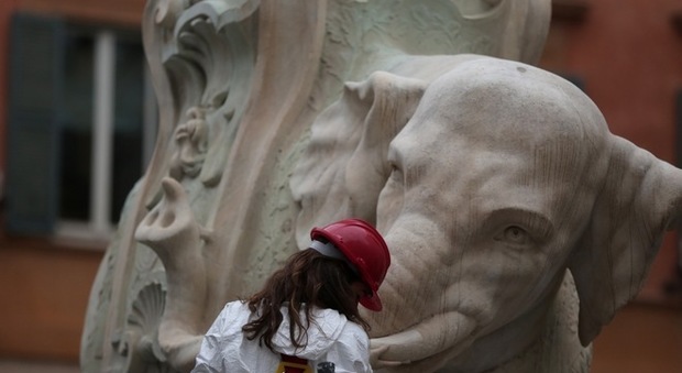 Roma, elefantino di piazza della Minerva sfregiato: ricollocata la zanna spezzata