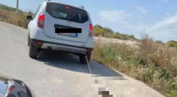 Cane legato e trascinato da un'auto in corsa muore in Sicilia: sui social le immagini choc