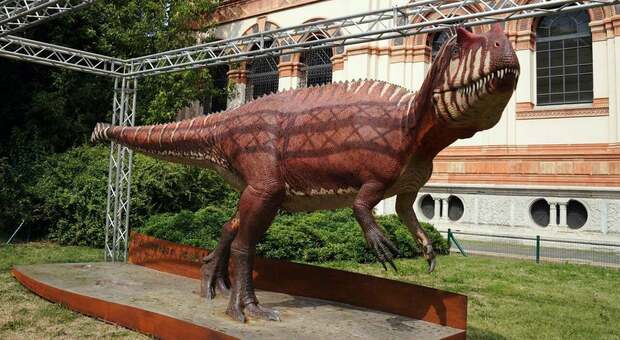 Milano, un dinosauro ai Giardini Montanelli. Da non crederci: al Museo arriva un Saltriovenator di 8 metri e 2 tonnellate di peso