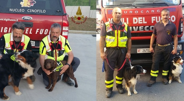 I cani eroi dei vigili del fuoco