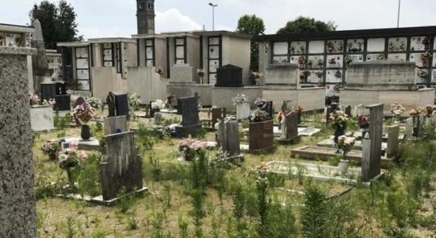 Cimiteri infestati dalle erbacce: Rossini chiede le dimissioni del'assessore Saccardin