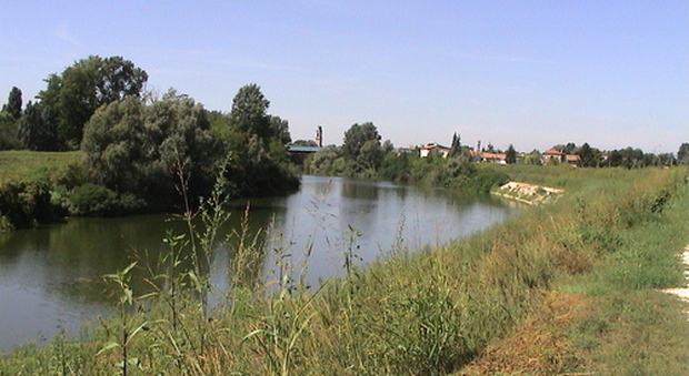 Passeggia lungo il fiume Brenta e vede qualcosa galleggiare: è una donna