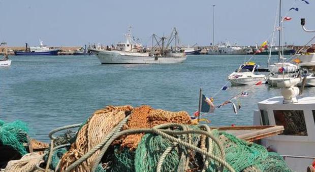 La burocrazia mette a rischio la pesca di sarde e acciughe