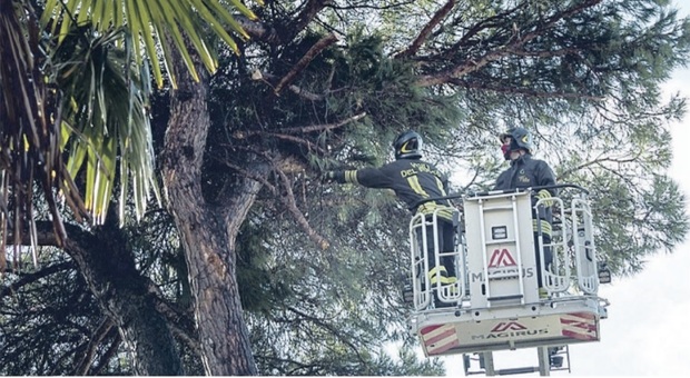 Super vento, a Perugia 90 emergenze per incendi e alberi crollati