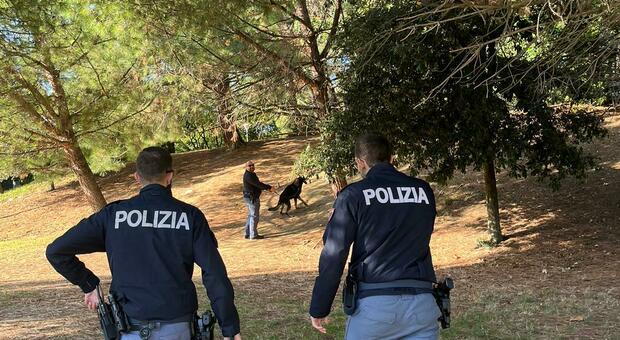 Poliziotti di quartiere e unità cinofile all'istituto Podesti di Ancona: nei pressi fermato un giovane con la droga