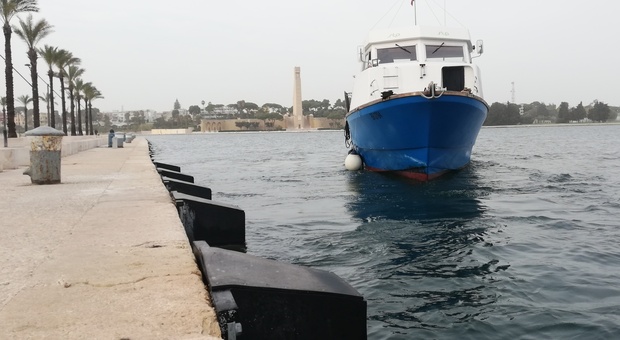 I respingenti installati nel porto di Brindisi