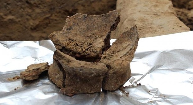 Georgia, rinvenute tracce del vino più antico del mondo: ha 8 mila anni