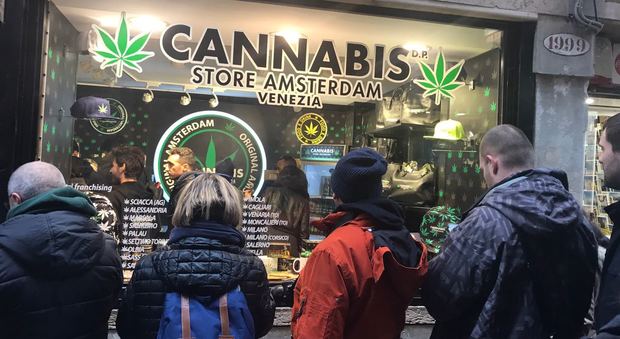 Cannabis store in centro: foglie e semi di marijuana, ma «da collezione»