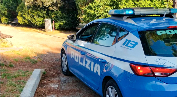 Perugia, gli agenti della polizia salvano un capriolo investito