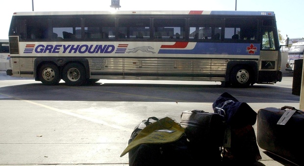 California, terrore sul bus: uomo spara sui passeggeri, un morto e 5 feriti