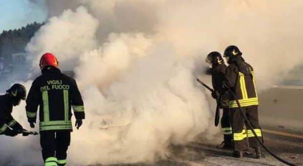 Sant'Elpidio a Mare, il mezzo che trasporta cavalli si incendia in autostrada: furgone distrutto, salvi animali e conducente