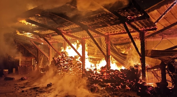 Paura a Polla: incendio distrugge capannone e minaccia due case
