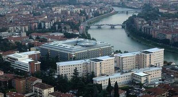 Batterio killer in ospedale, 4 bimbi morti a Verona: era nel rubinetto. Zaia: relazione a Procura
