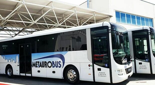 Da Cerignola a Foggia e Bari in bus: ecco il nuovo servizio di collegamento in bus