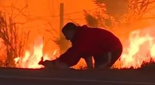 California, un uomo salva dalle fiamme un coniglio, le immagini sono toccanti