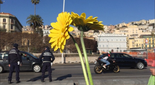 Un «fiore per la pace» al consolato Usa di Napoli: «Basta guerre»