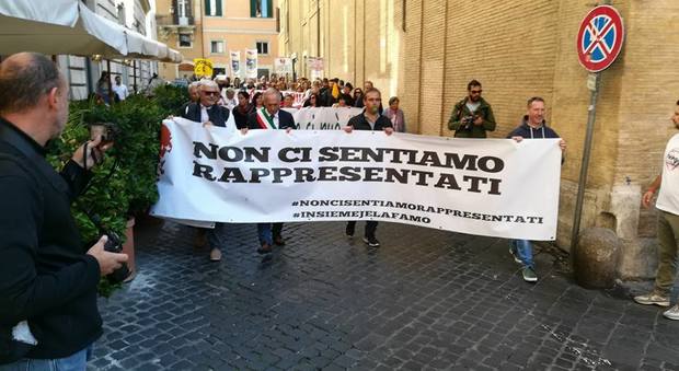 La manifestazione (foto da pagina fb Terremoto Centro Italia)