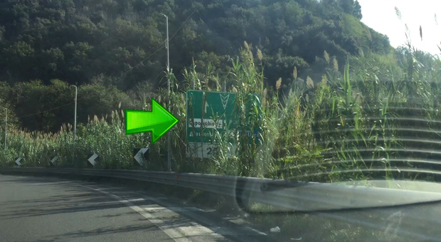 Rampa da incubo ad Agnano: viaggio tra i cartelli nascosti dai canneti e dalle erbacce