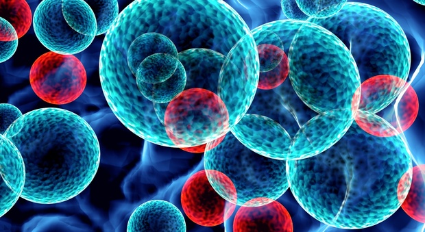Leucemia, nuovo test consente terapia più efficace: la scoperta da una ricerca italiana