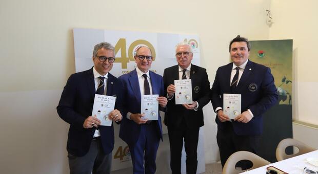 immagine Caserta, mozzarella Dop e 110 vini: la guida sugli abbinamenti