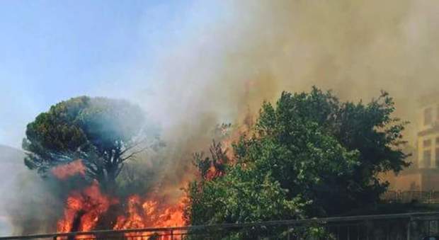 La Calabria continua a bruciare. Il sindaco di Rose: «C'è un regia criminosa»