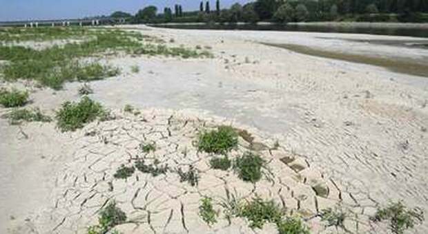 Crisi climatica, in Italia -12% piogge in 150 anni