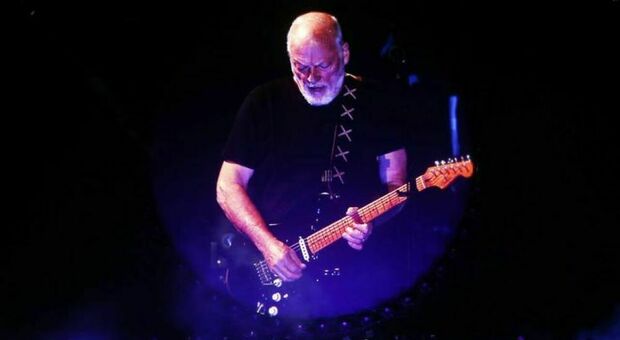 David Gilmour
