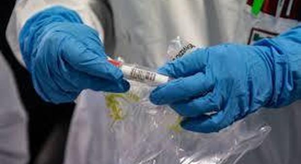 Coronavirus, la Provincia di Avellino acquista 4mila test veloci per i medici